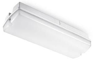 LED Portiek armatuur 6W 4000K opaalkap IP65 Proledpartners®