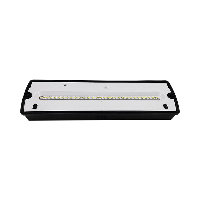 PEROLEDPARTERS® PROFFESIONELE  NOODVERLICHTING 6W  IP65  (INCLUSIEF PICTOGRAMMEN)