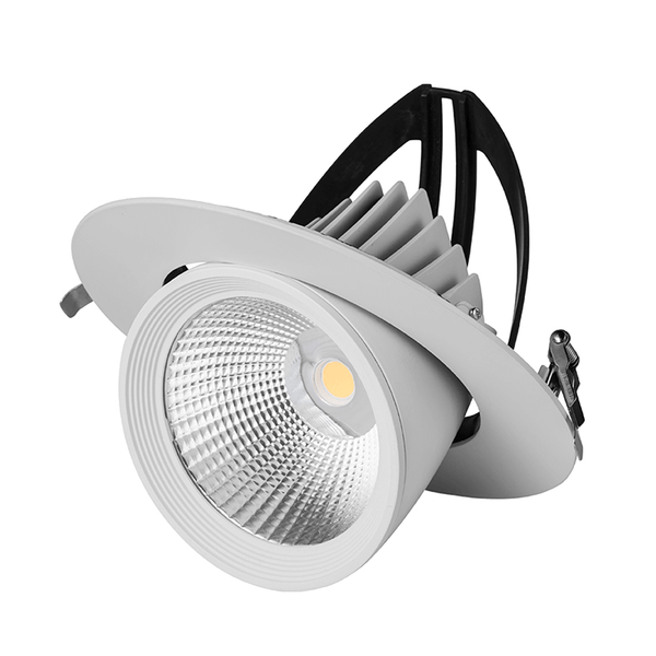 LED DOWNLIGHT  KANTELBAAR  Ø195  40W 4000K PROLEDPARTNERS.